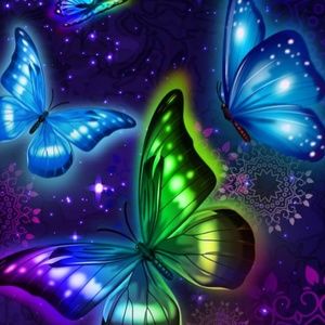 Meet your Posher, Lakashia